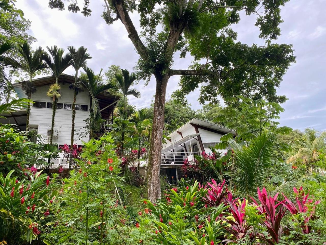 Ballena Dorada Lodge Uvita Exterior foto