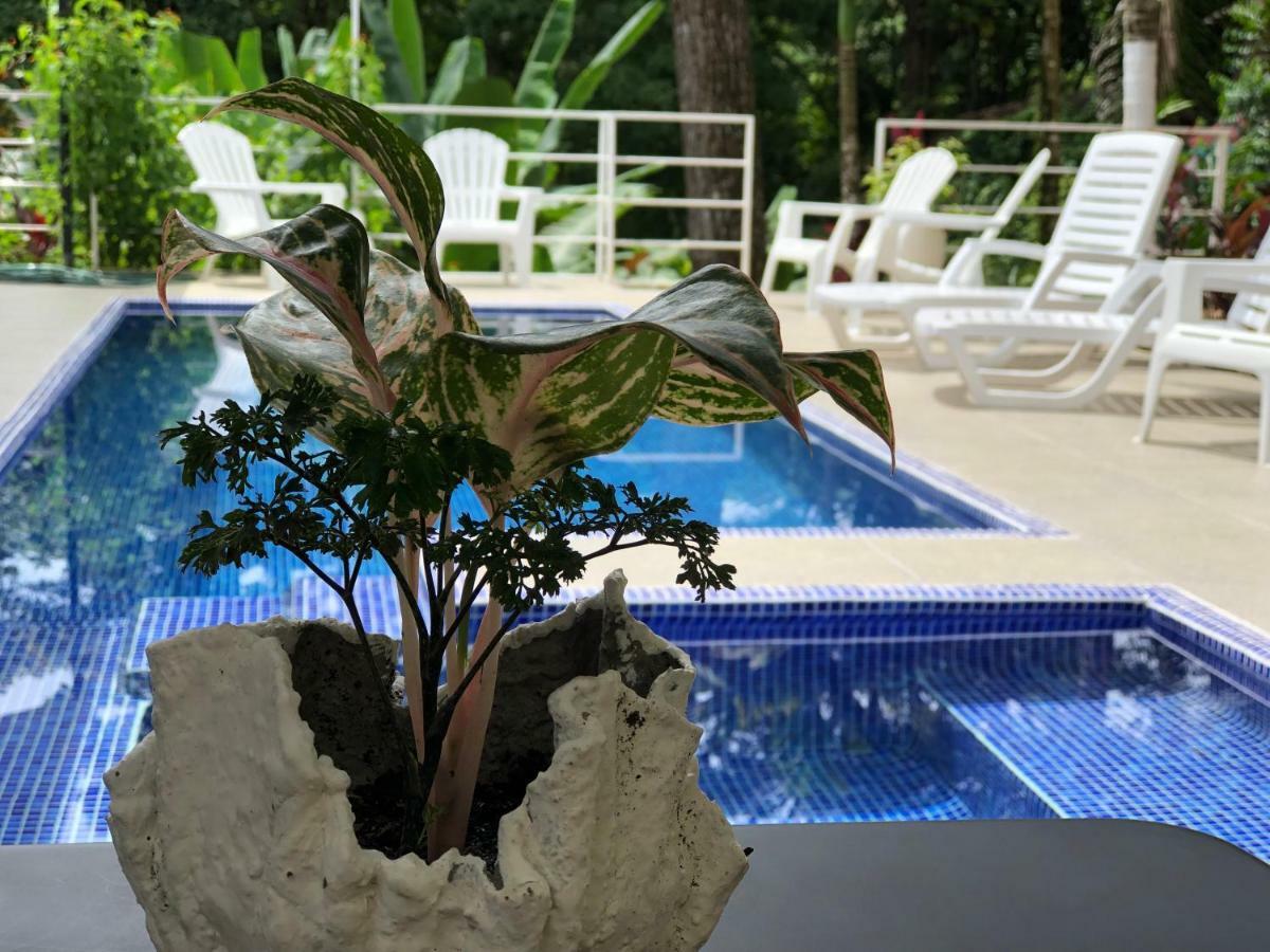 Ballena Dorada Lodge Uvita Exterior foto